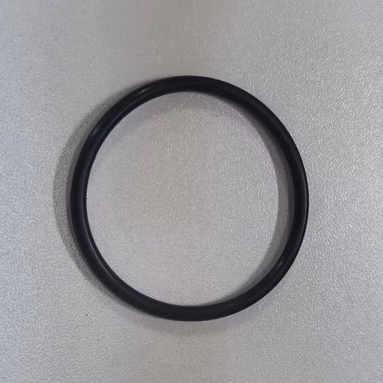 FKM O 링 씰 FEP 캡슐화 공장 맞춤형 고무 씰링 실리콘 NBR EPDM Viton Oring O
